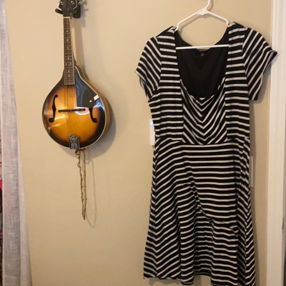 Torrid skater dress